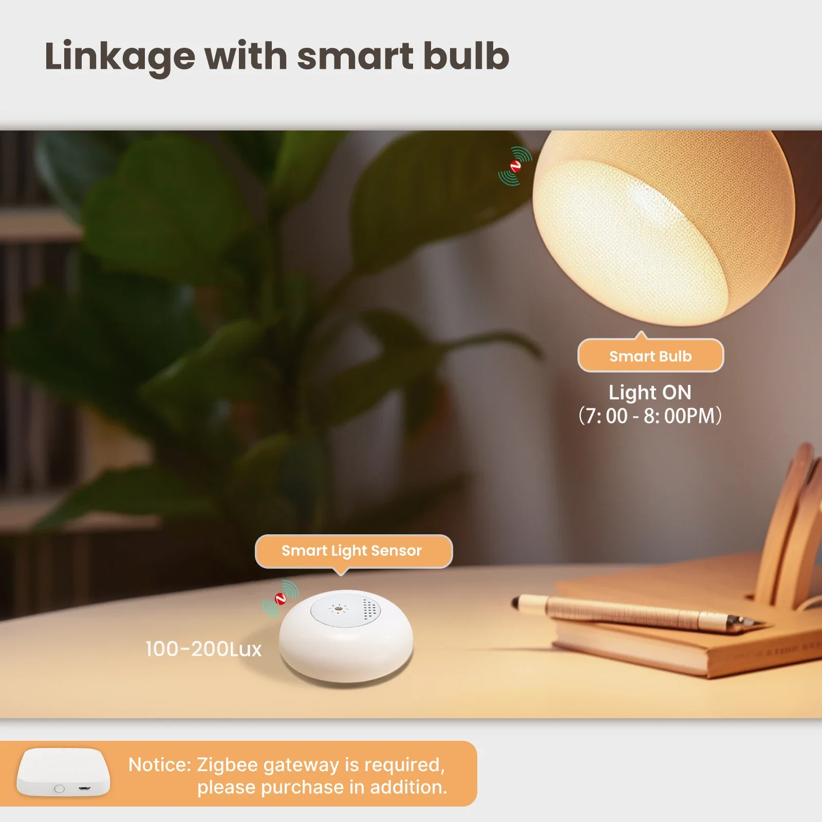 MOES Tuya Zigbee Smart Light S - đánh giá và giá Smart Home Moes