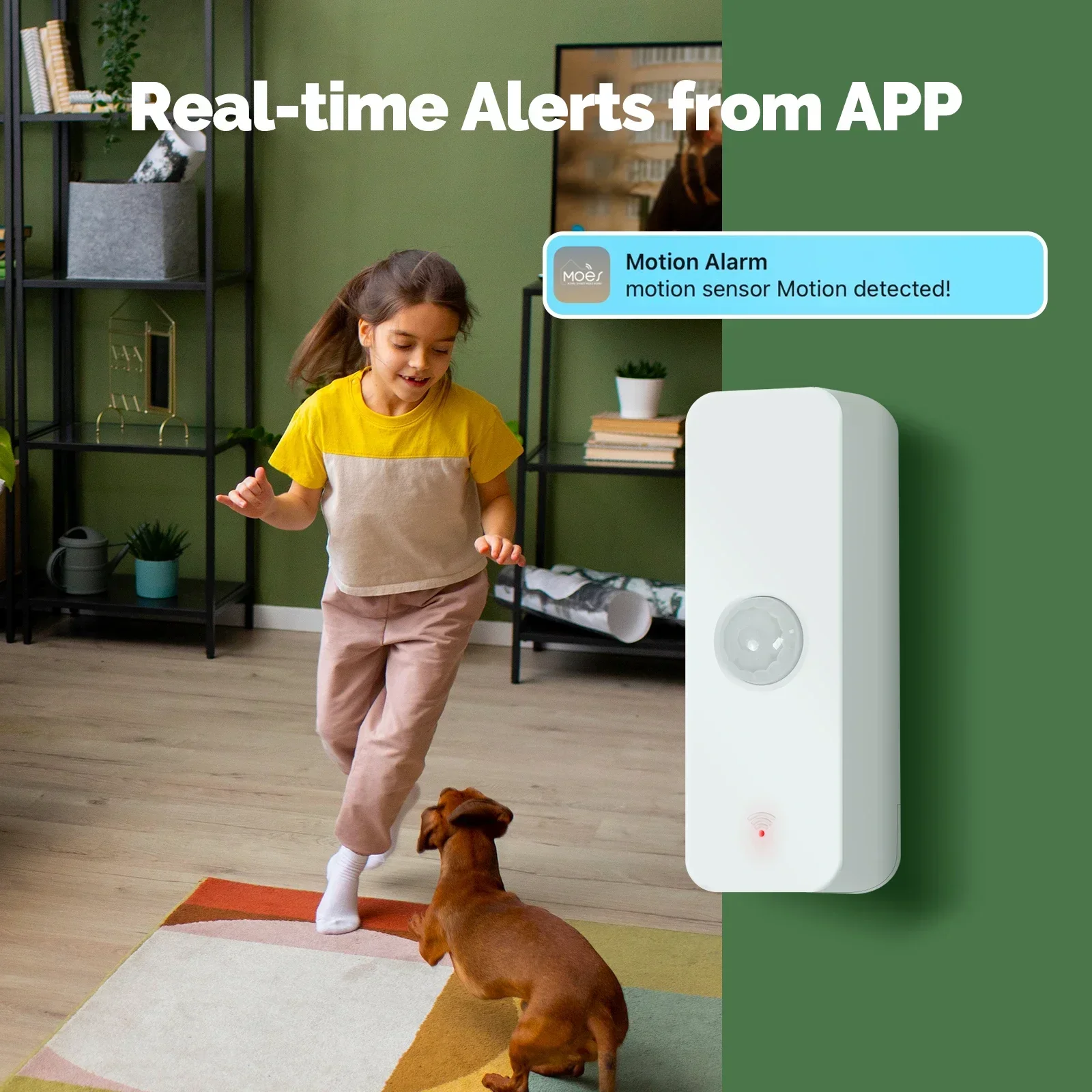 MOES Tuya WiFi/ZigBee Smart PI - đánh giá và giá Smart Home Moes