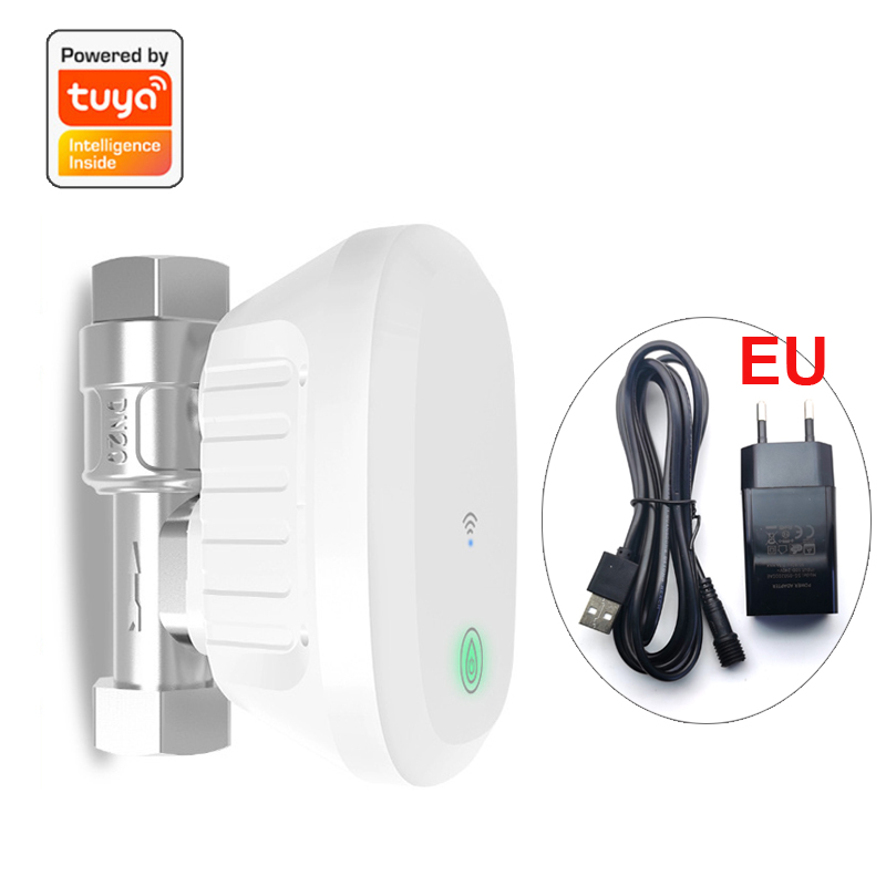Smart WiFi Valve Meter Water F - đánh giá và giá Smart Home Google Assistant