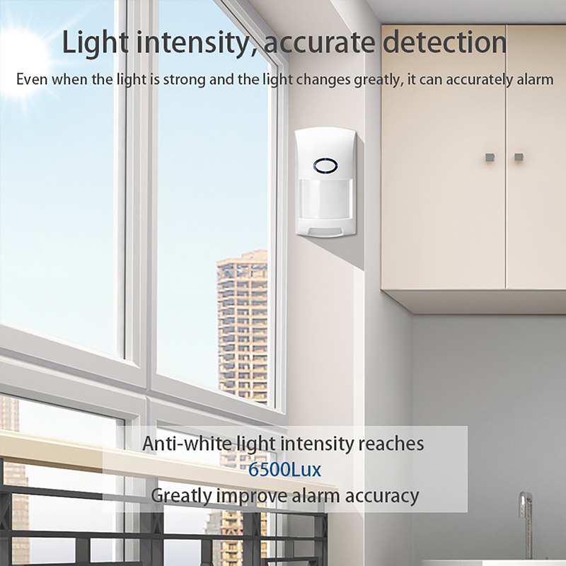Smart Tuya PIR Motion Sensor W - đánh giá và giá Smart Home Automation System