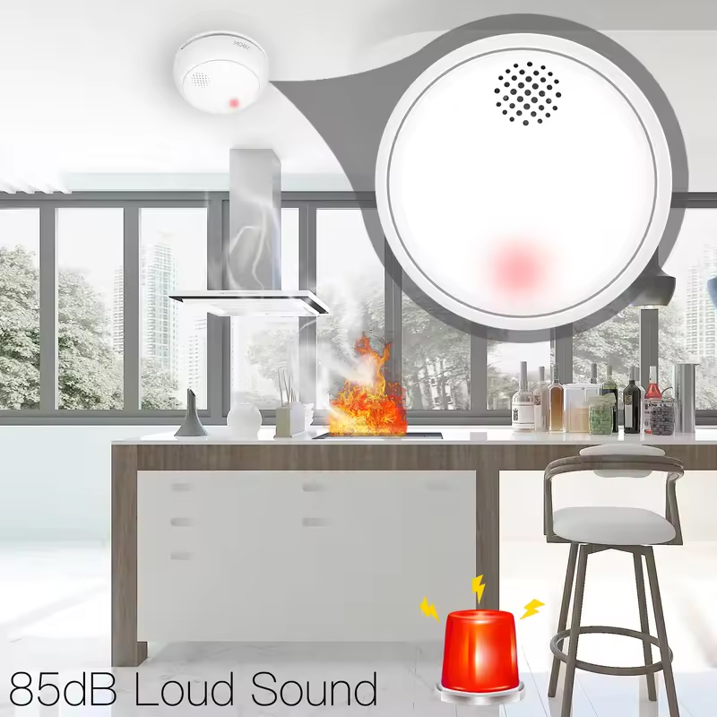 MOES ZigBee Smart Wireless Smo - đánh giá và giá Smart Home Moes