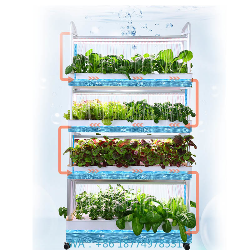 ydroponic Planting System Smar - đánh giá và giá Smart Home Automation System