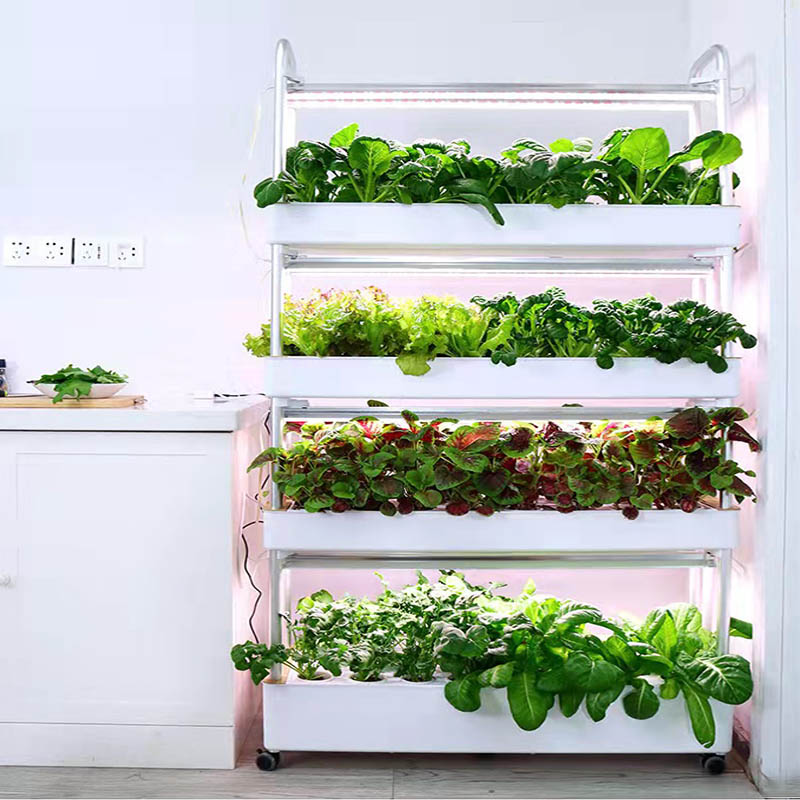 ydroponic Planting System Smar - đánh giá và giá Smart Home Automation System