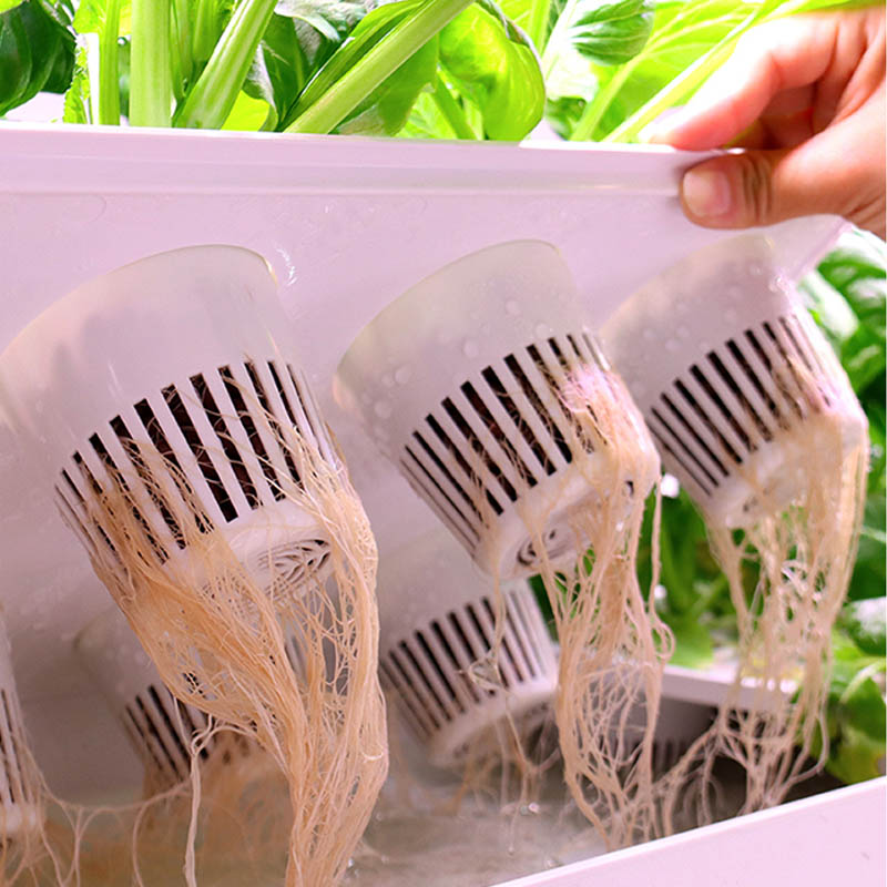 ydroponic Planting System Smar - đánh giá và giá Smart Home Automation System