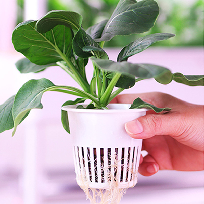ydroponic Planting System Smar - đánh giá và giá Smart Home Automation System